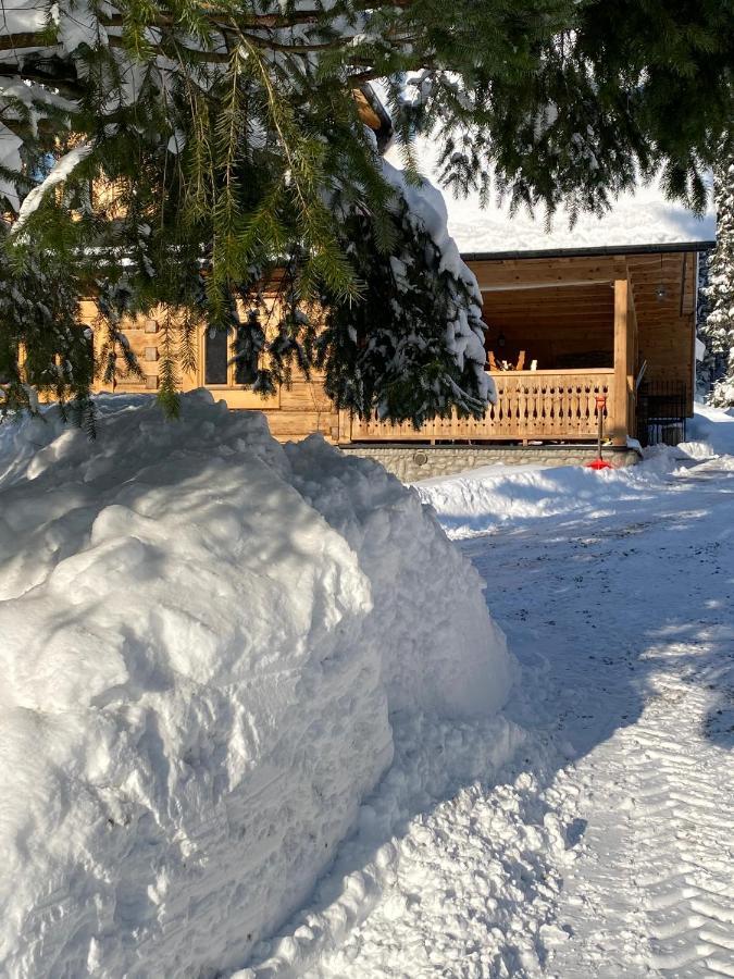 Goralska Willa Nowy Targ Bagian luar foto