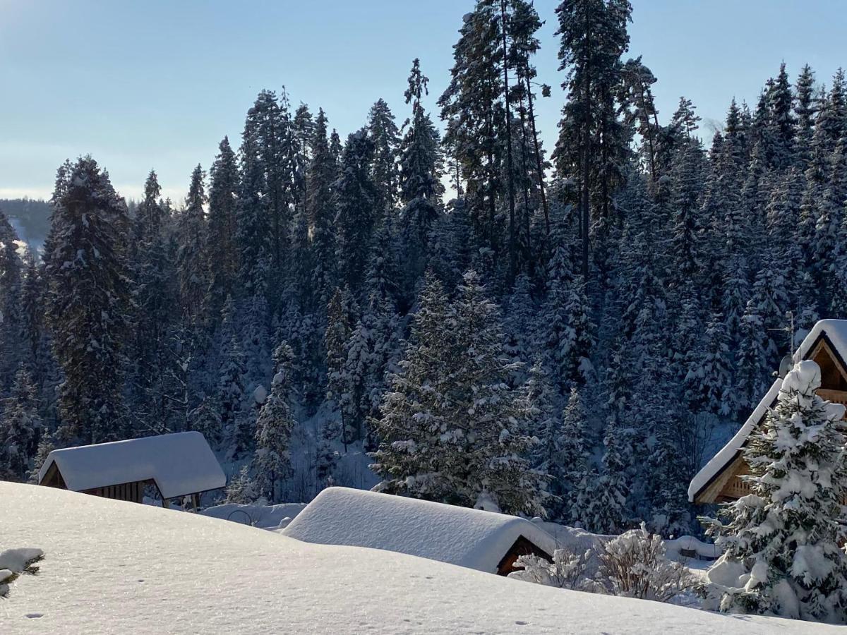 Goralska Willa Nowy Targ Bagian luar foto